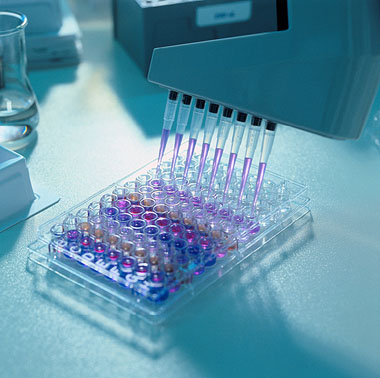 ELISA test at ISPAH